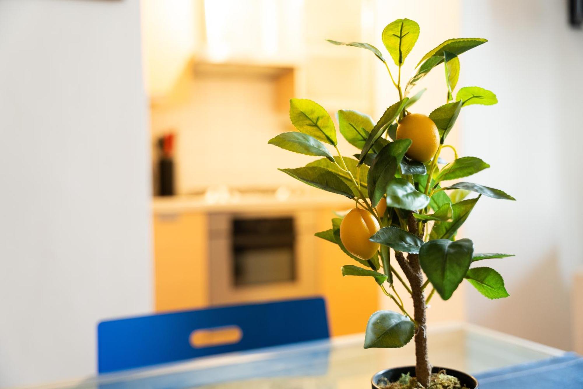 Nice Quiet Flat In Pta Venezia Milano Ngoại thất bức ảnh